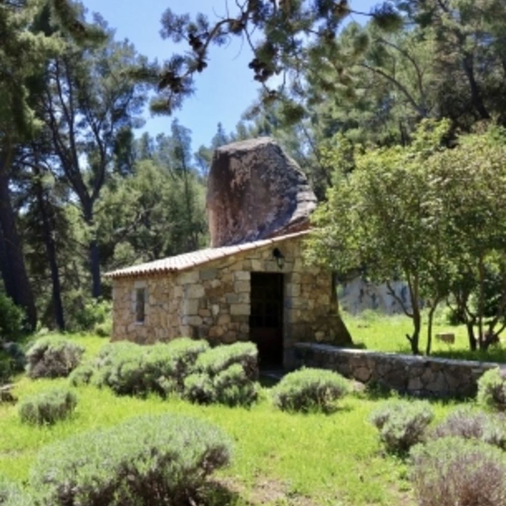 � vendre  Maison Le Revest-les-Eaux (83200)