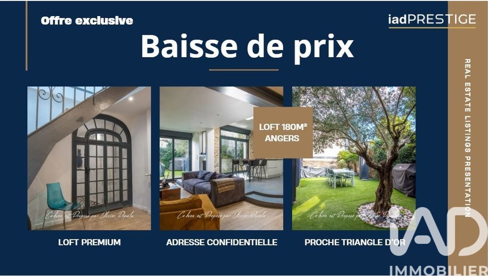 � vendre  Villa Angers (49100)