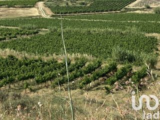  Terrain � vendre 52610 m�