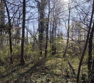  Terrain � vendre 48910 m�