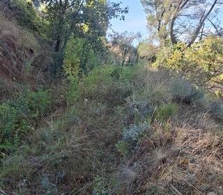  Terrain � vendre 1031 m�