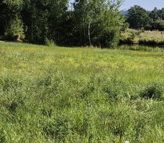  Terrain � vendre 5316 m�