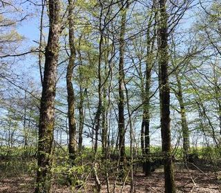  Terrain � vendre 6725 m�