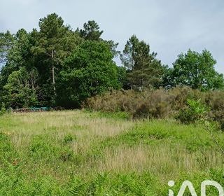  Terrain � vendre 7136 m�