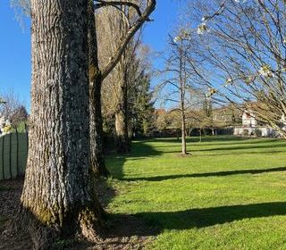  Terrain � vendre 1258 m�