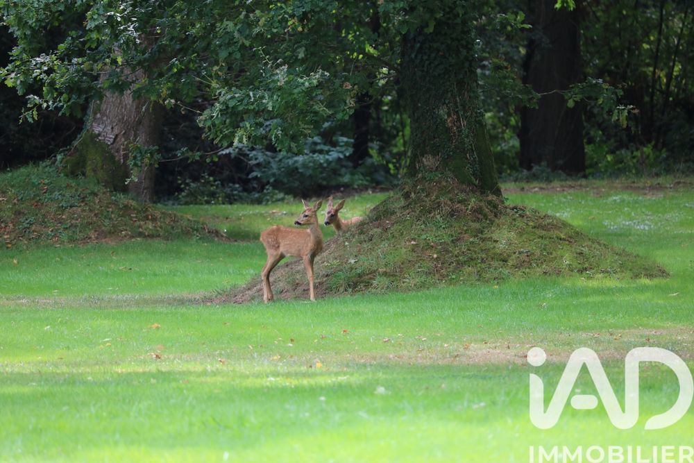 � vendre  Maison Beuzeville (27210)