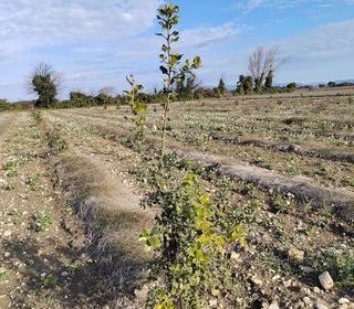  Terrain � vendre 4952 m�