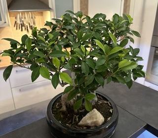  Appartement � vendre 3 pi�ces 69 m�