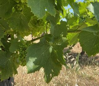  Terrain � vendre 58175 m�