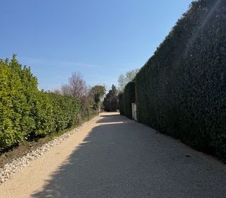  Terrain � vendre 816 m�