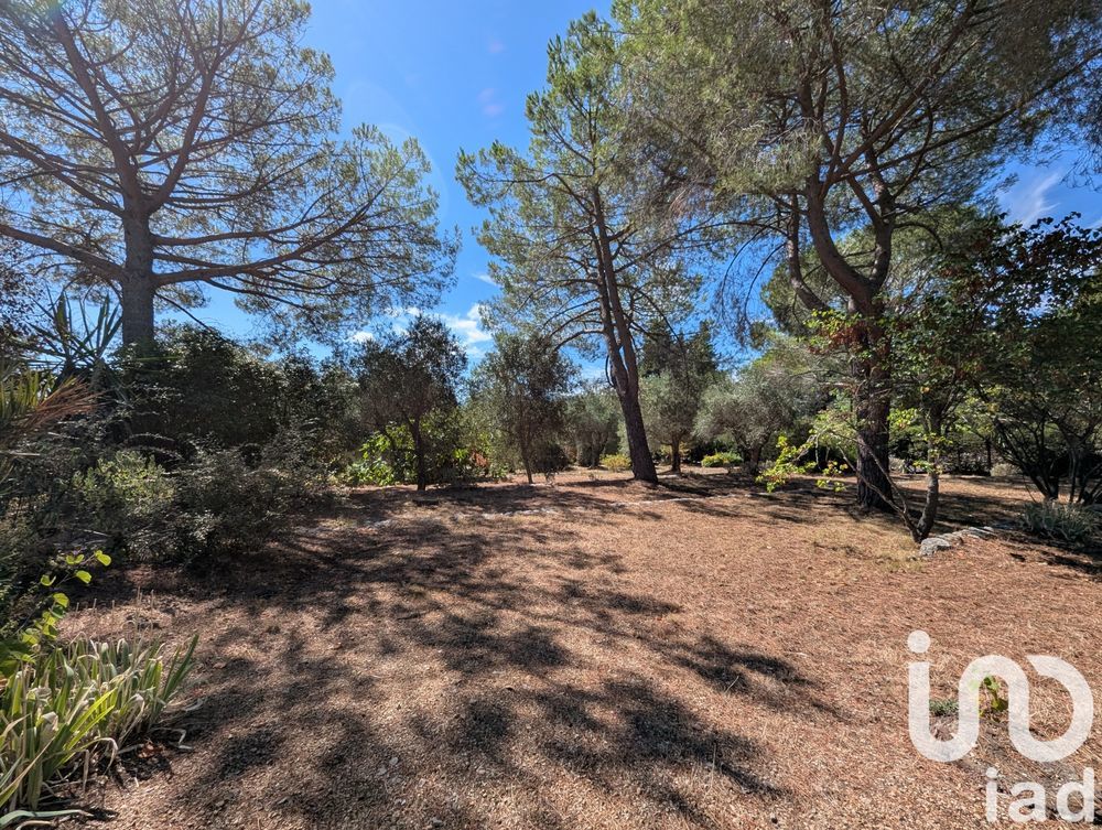 � vendre  Maison Auribeau-sur-Siagne (06810)