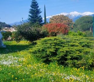  Maison � vendre 7 pi�ces 236 m�