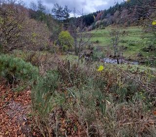  Maison � vendre 4 pi�ces 80 m�