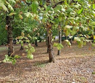  Maison � vendre 4 pi�ces 304 m�