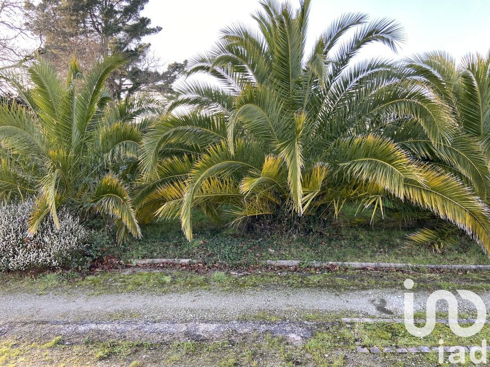 � vendre  Maison Sarzeau (56370)