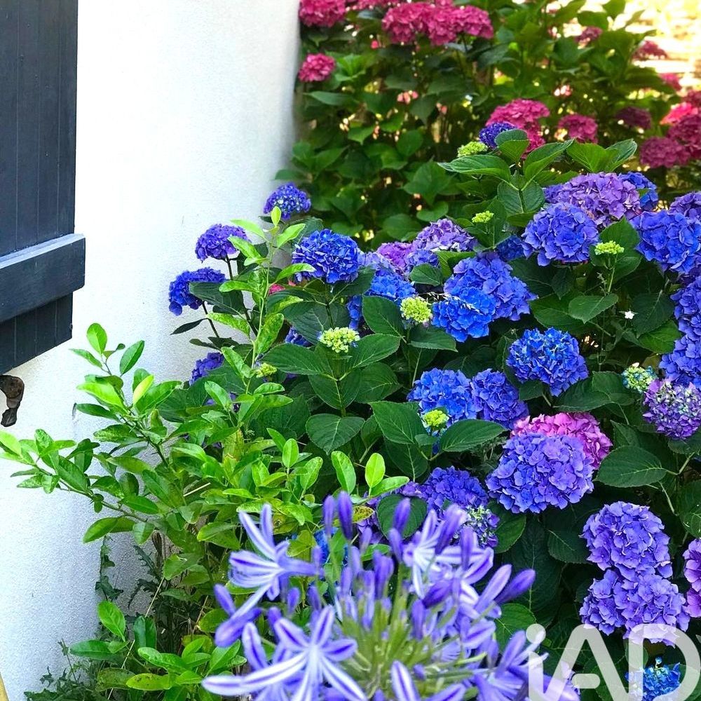 � vendre  Maison Groix (56590)