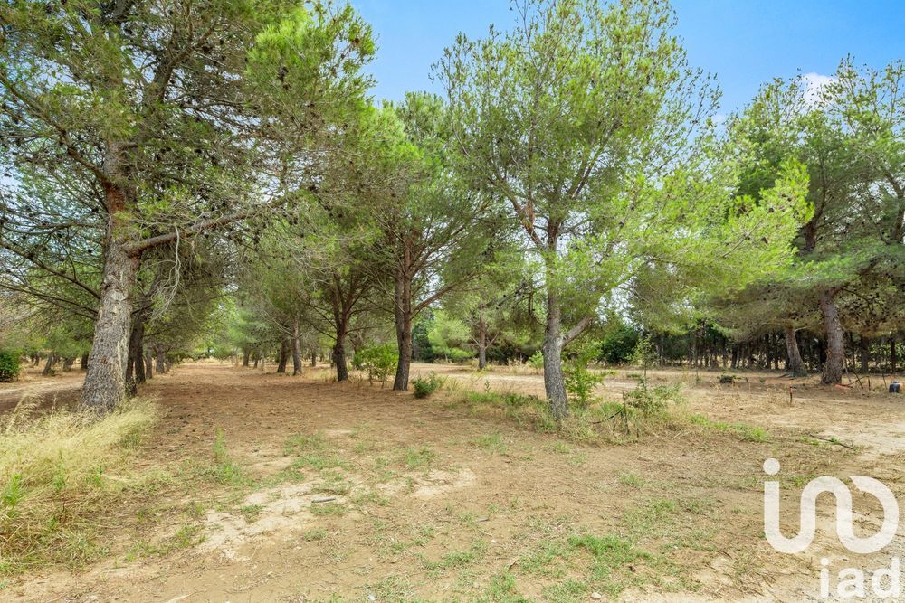 � vendre  Maison Claira (66530)