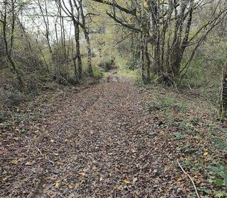  Terrain � vendre 405918 m�