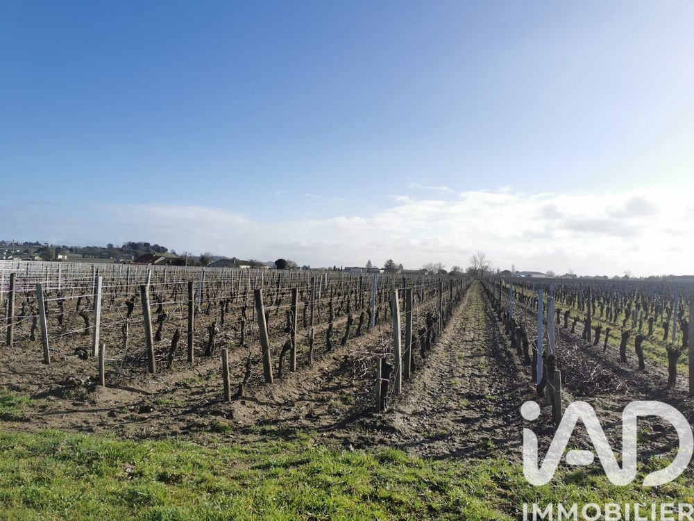 � vendre  Propri�t�/ch�teau Saint-Sulpice-de-Faleyrens (33330)