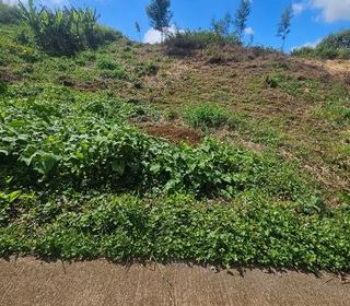  Terrain � vendre 1188 m�