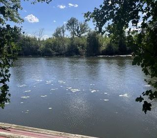  Terrain � vendre 1921 m�