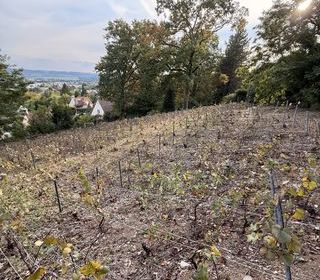  Terrain � vendre 749 m�