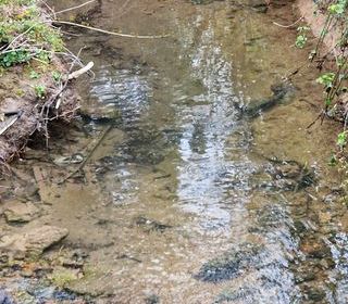  Terrain � vendre 677 m�