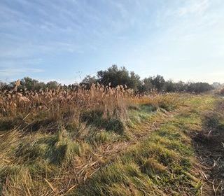  Terrain � vendre 5801 m�