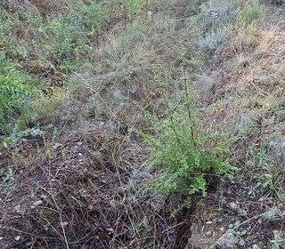  Terrain � vendre 1031 m�