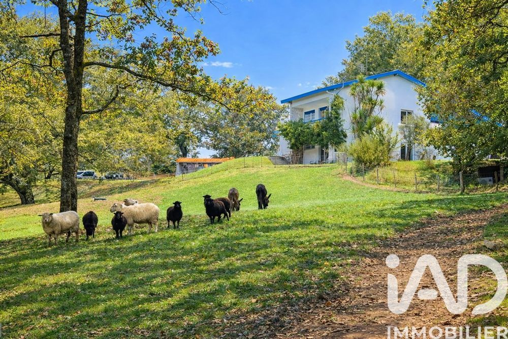 � vendre  Maison Urcuit (64990)