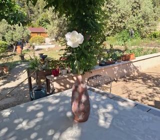  Maison � vendre 6 pi�ces 140 m�