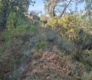  Terrain � vendre 1031 m�