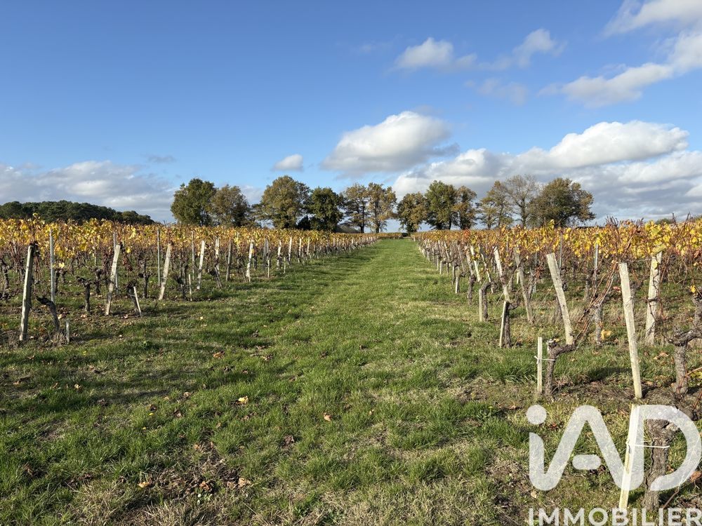 � vendre  Maison Lussac (33570)