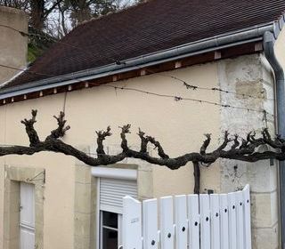  Maison � vendre 3 pi�ces 83 m�