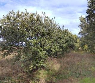  Terrain � vendre 7825 m�