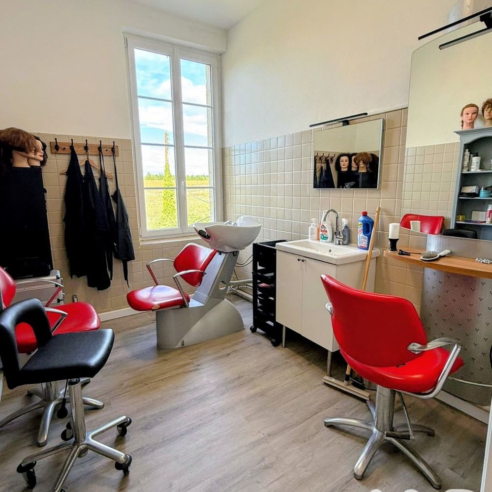 � vendre  Propri�t�/ch�teau Gasques (82400)