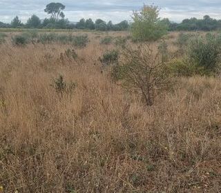  Terrain � vendre 15398 m�