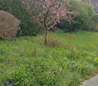  Maison � vendre 5 pi�ces 81 m�