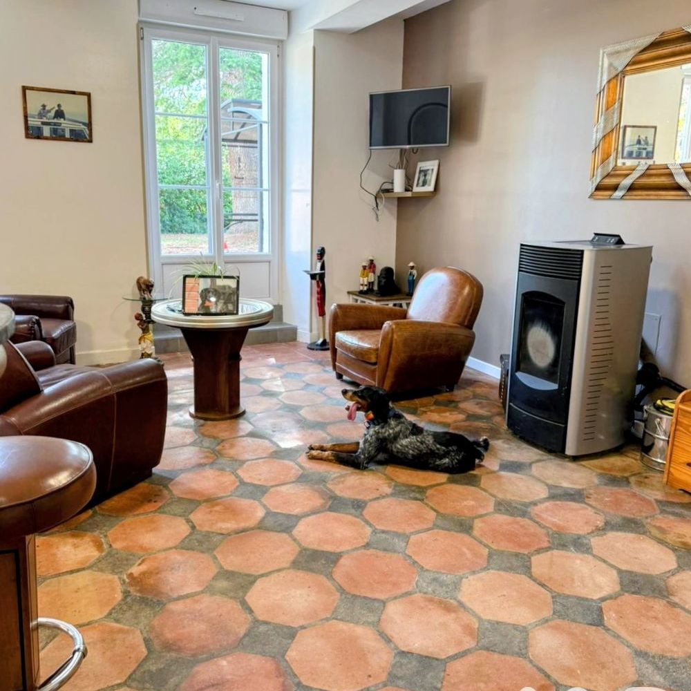 � vendre  Propri�t�/ch�teau Gasques (82400)