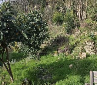  Maison � vendre 7 pi�ces 183 m�