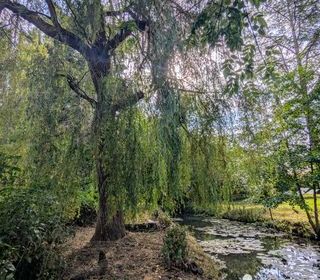  Terrain � vendre 7318 m�