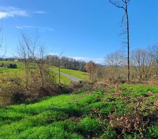  Terrain � vendre 97607 m�