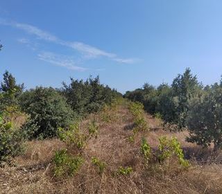  Terrain � vendre 6160 m�