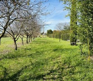  Maison � vendre 5 pi�ces 270 m�