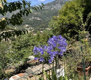  Terrain � vendre 1516 m�