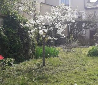  Maison � vendre 6 pi�ces 105 m�