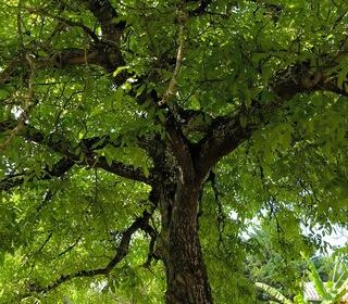  Maison � vendre 3 pi�ces 80 m�