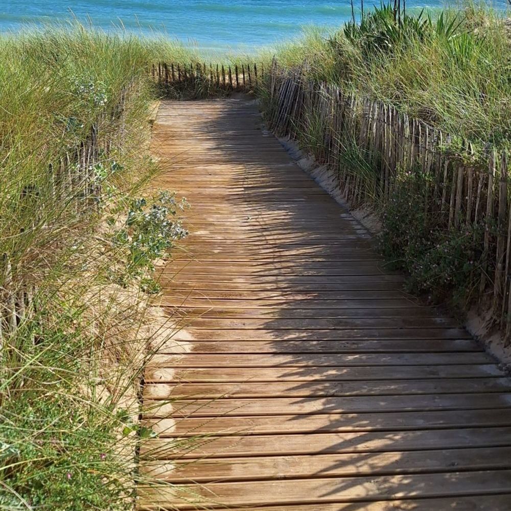 � vendre  Maison Le Bois-Plage-en-R� (17580)