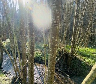  Terrain � vendre 4591 m�