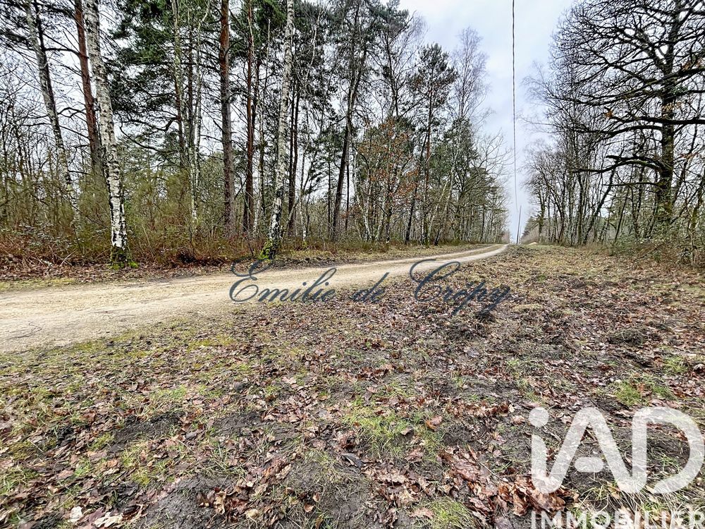 � vendre  Maison Lamotte-Beuvron (41600)